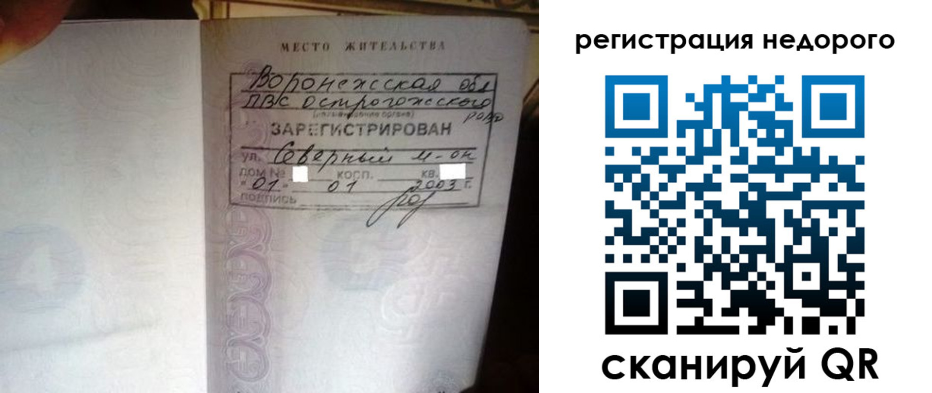 прописка для школы в Мончегорске